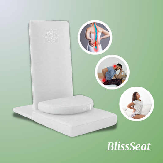1x BlissSeat Cushion